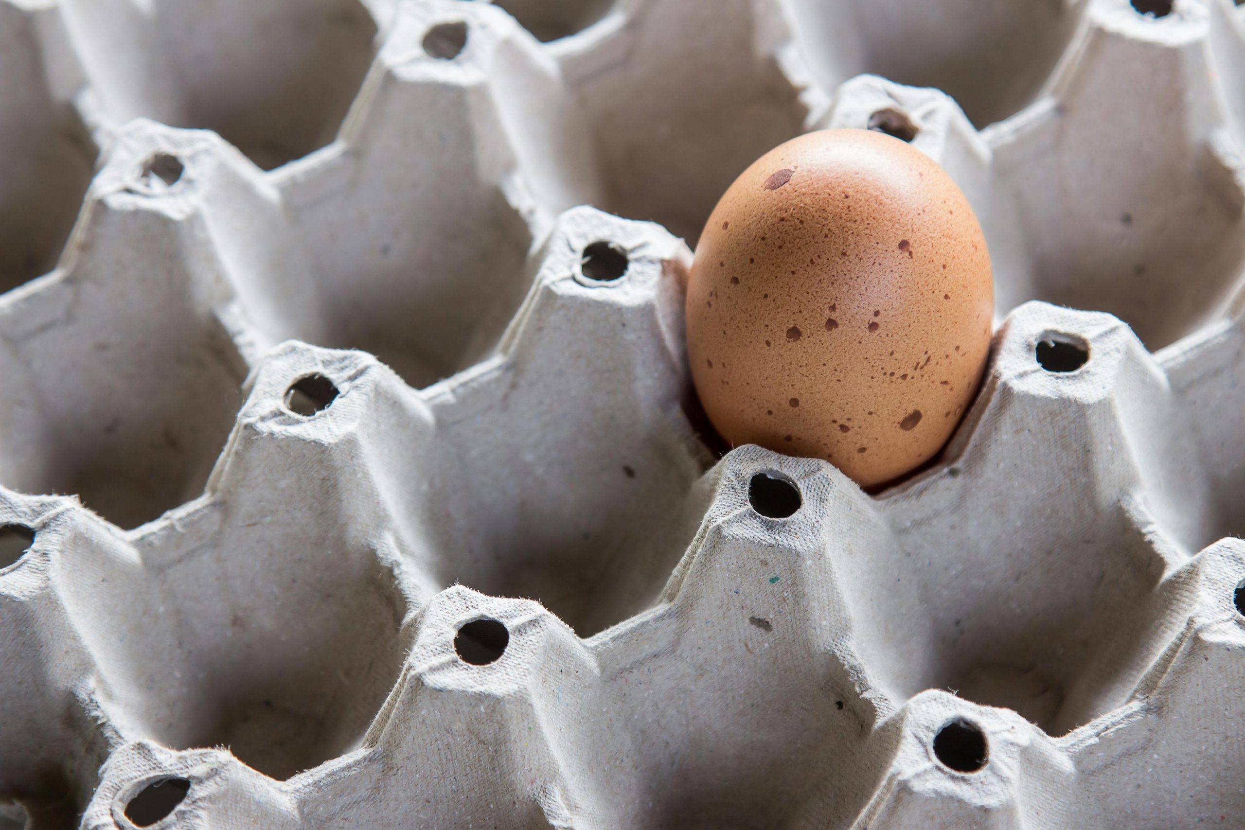 Close-up of a single brown egg nestled in an empty cardboard egg carton.